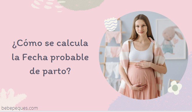 ¿Cómo se calcula la Fecha probable de parto?